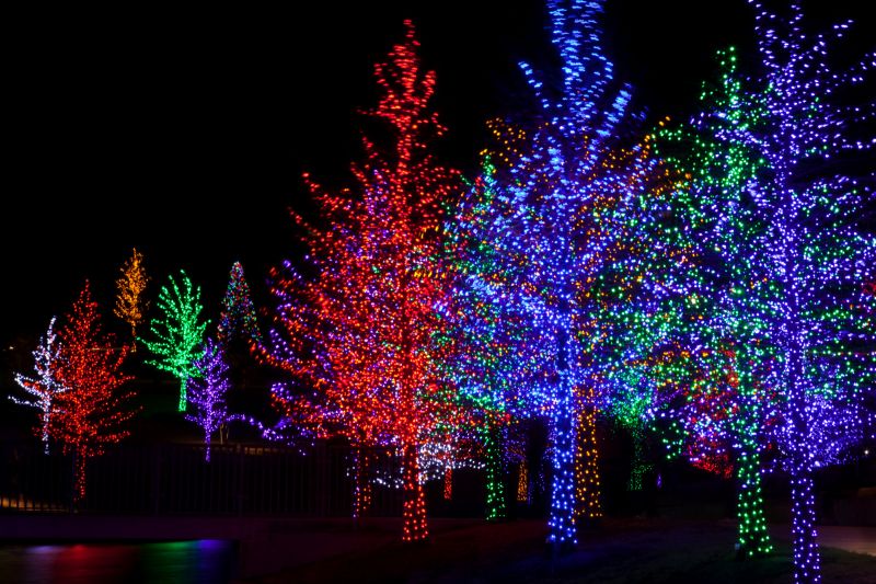 Decorative Lighting on Trees